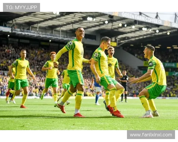 诺维奇俱乐部冬季转会动向曝光多名新援加盟助力球队重返英超赛场